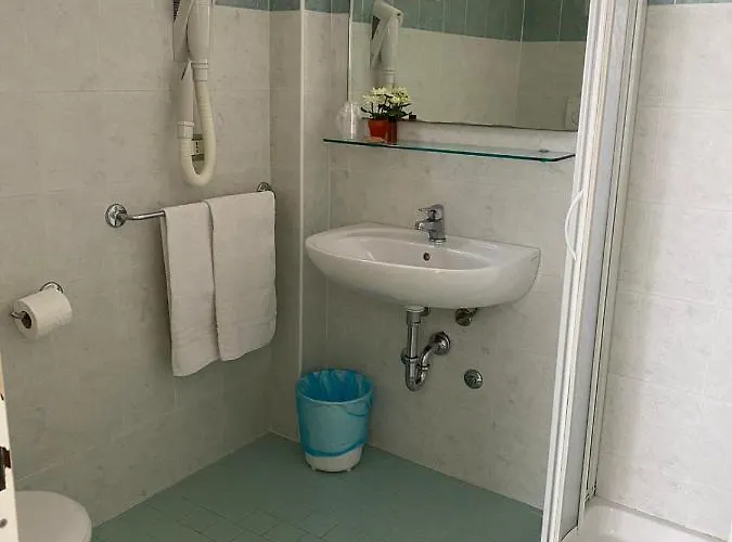 Hotel Mediterraneo Rimini